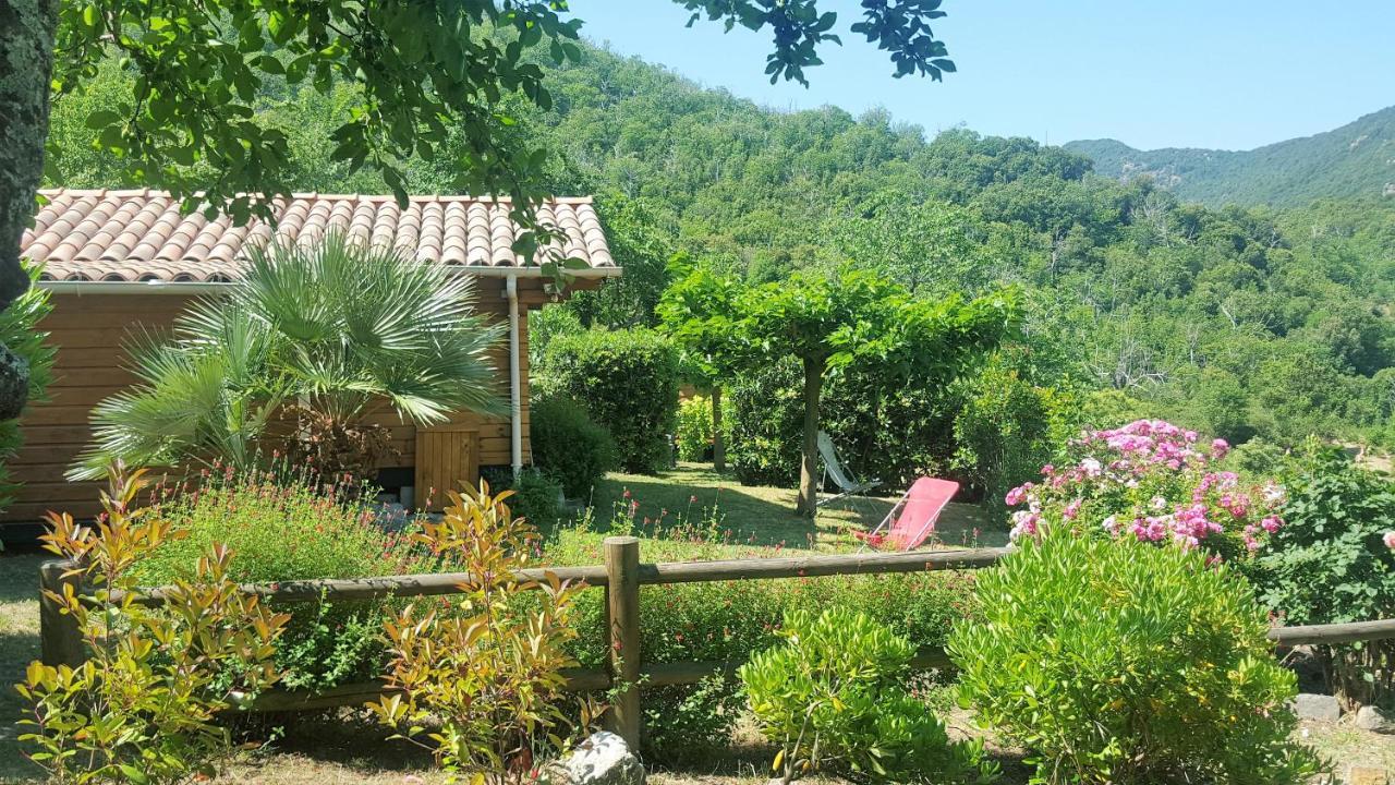Les Chalets Et Gite Du Haut Taravo Zicavo Εξωτερικό φωτογραφία