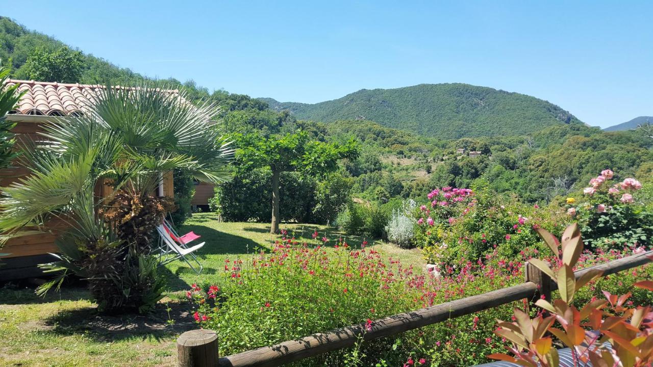 Les Chalets Et Gite Du Haut Taravo Zicavo Εξωτερικό φωτογραφία