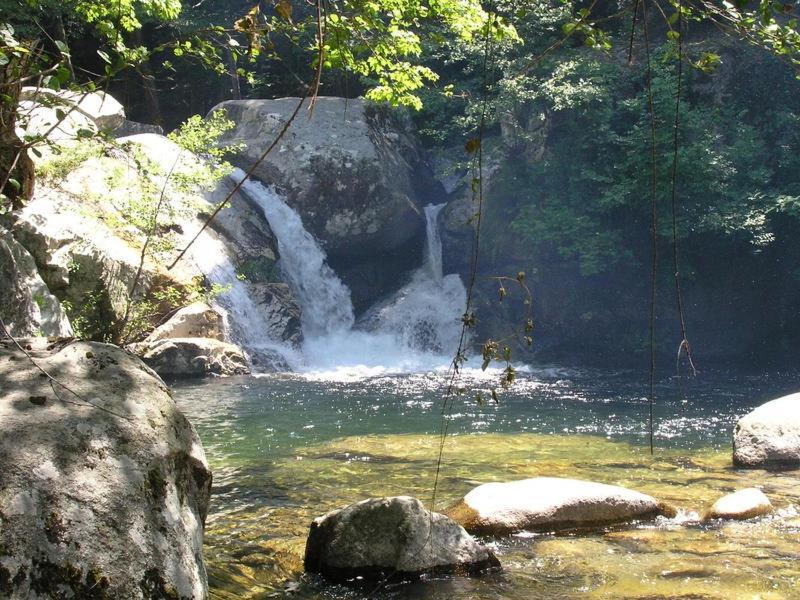 Les Chalets Et Gite Du Haut Taravo Zicavo Εξωτερικό φωτογραφία