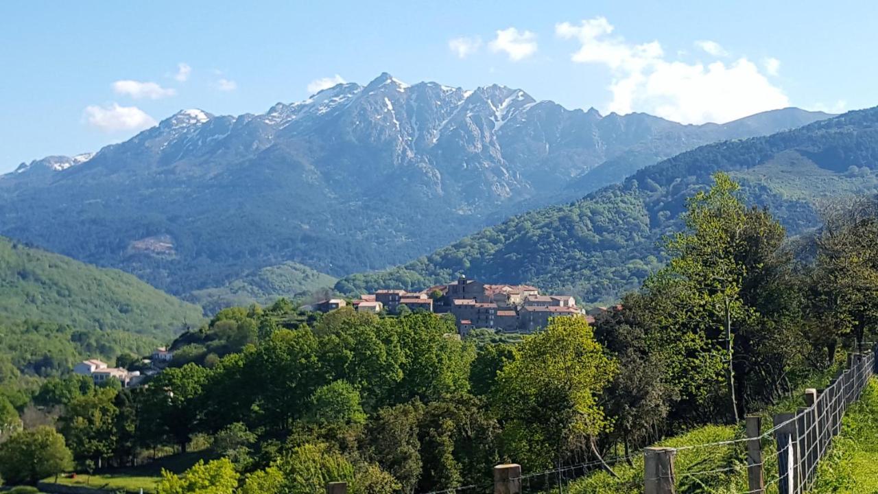 Les Chalets Et Gite Du Haut Taravo Zicavo Εξωτερικό φωτογραφία