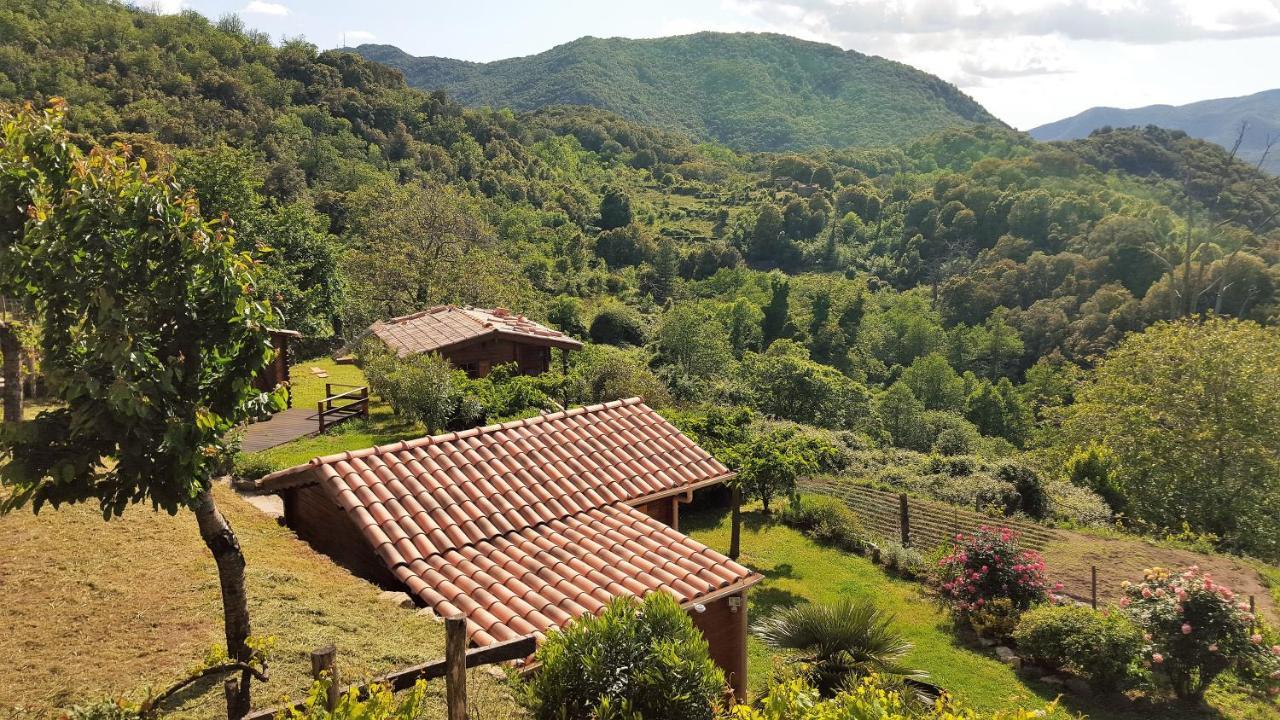 Les Chalets Et Gite Du Haut Taravo Zicavo Εξωτερικό φωτογραφία