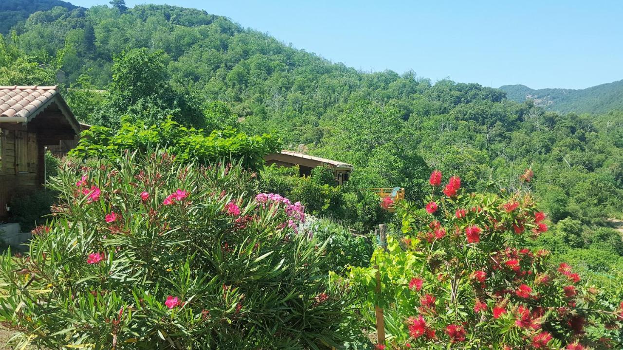 Les Chalets Et Gite Du Haut Taravo Zicavo Εξωτερικό φωτογραφία