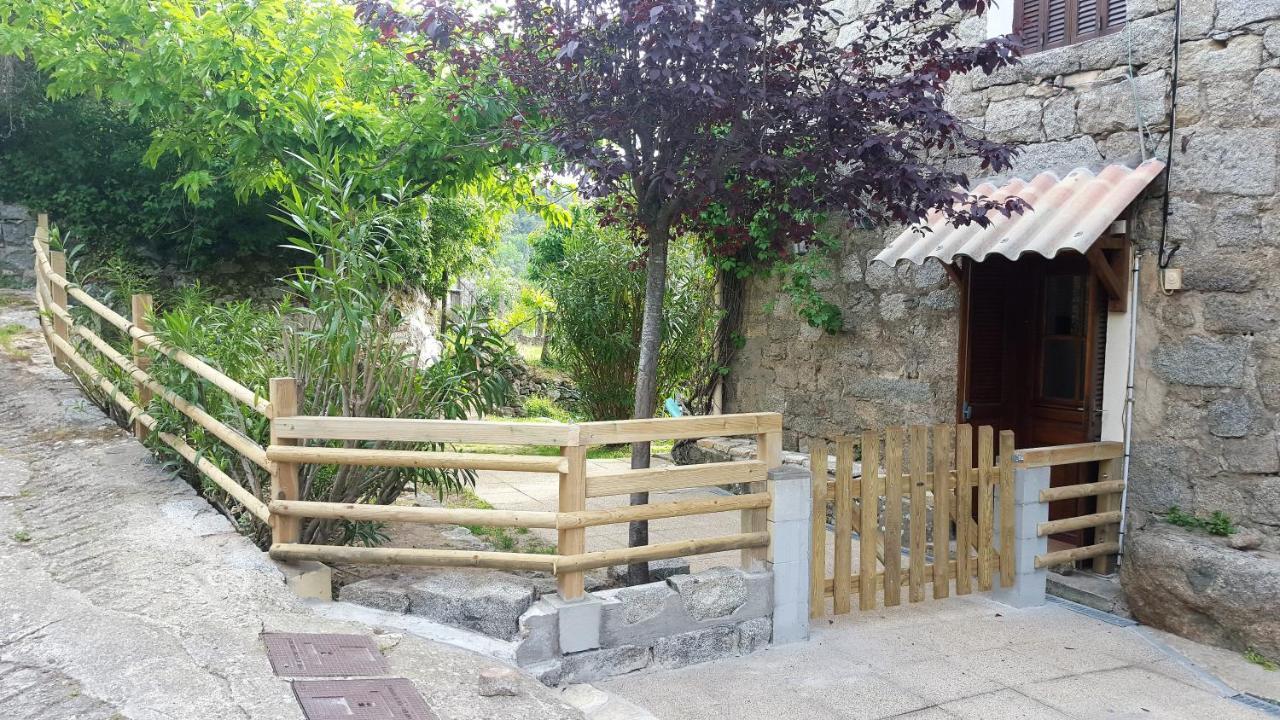 Les Chalets Et Gite Du Haut Taravo Zicavo Εξωτερικό φωτογραφία