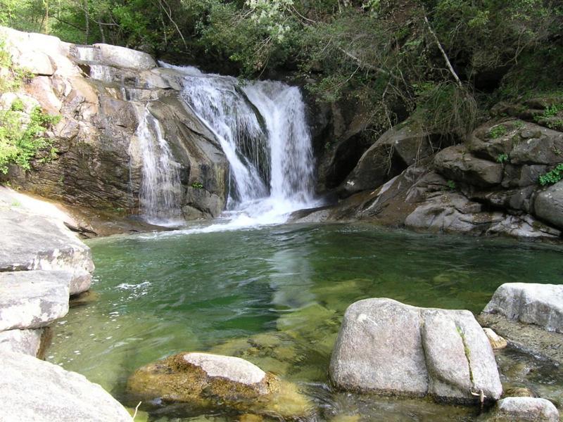 Les Chalets Et Gite Du Haut Taravo Zicavo Εξωτερικό φωτογραφία