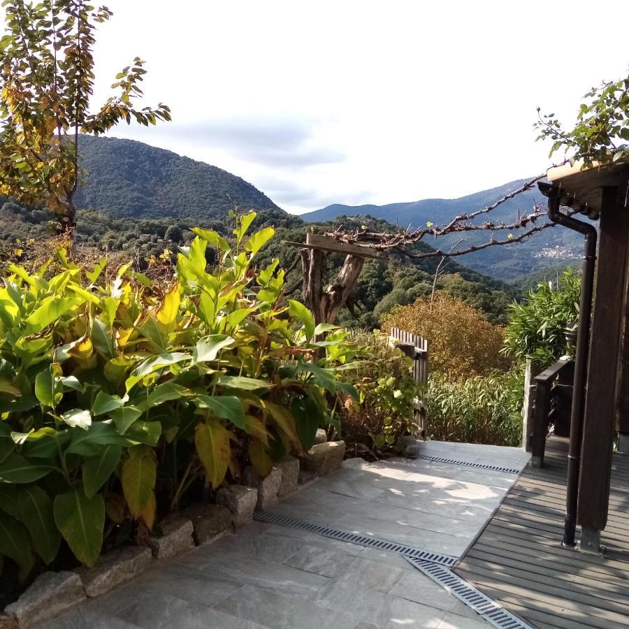 Les Chalets Et Gite Du Haut Taravo Zicavo Εξωτερικό φωτογραφία
