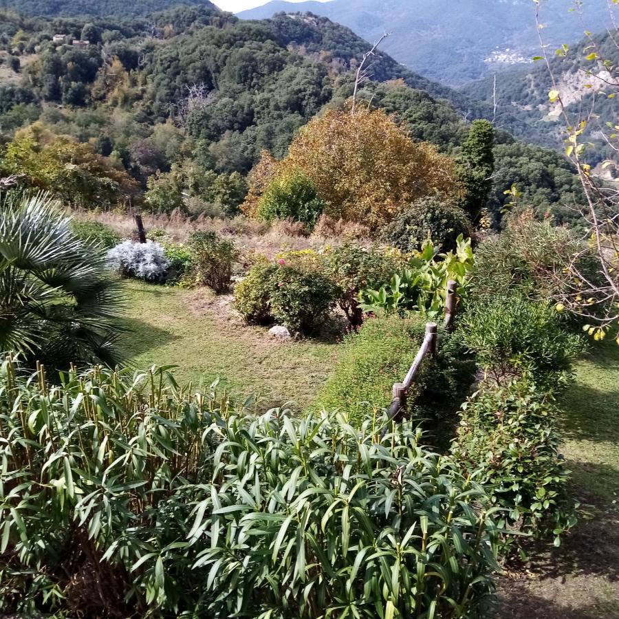 Les Chalets Et Gite Du Haut Taravo Zicavo Εξωτερικό φωτογραφία
