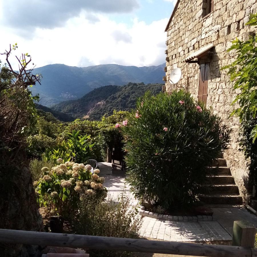 Les Chalets Et Gite Du Haut Taravo Zicavo Εξωτερικό φωτογραφία